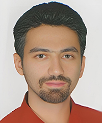 Mehdi Gheisari